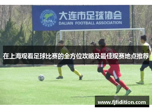 在上海观看足球比赛的全方位攻略及最佳观赛地点推荐