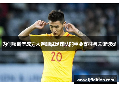 为何穆谢奎成为大连鲲城足球队的重要支柱与关键球员