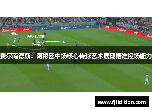 费尔南德斯：阿根廷中场核心传球艺术展现精准控场能力