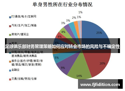 足球俱乐部财务管理策略如何应对转会市场的风险与不确定性